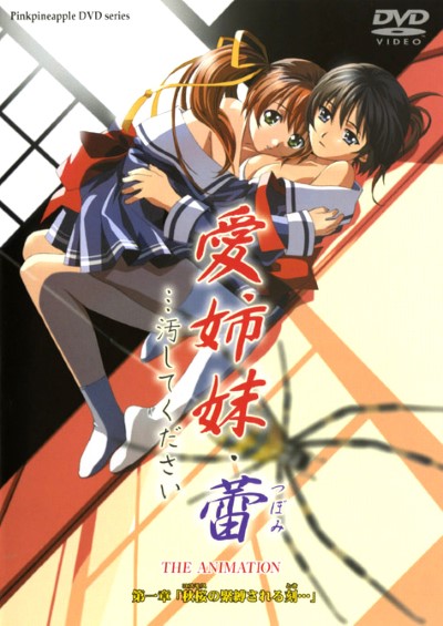 Ai Shimai Tsubomi นศสาวนมใหญ่